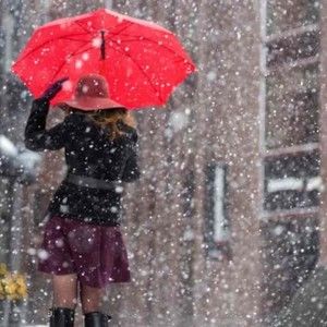 Meet your Posher, Dorothy